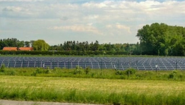 Solar panels being used in a farm
