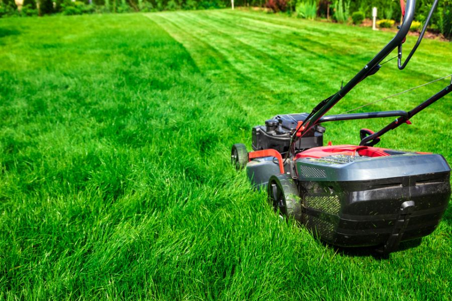 Lawn mower on a grass